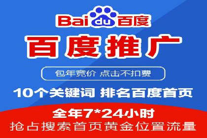搜索引擎营销（SEM）成功案例详解